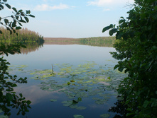 DSC_1209.JPG