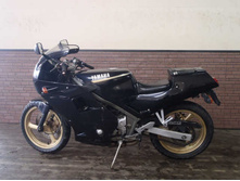 FZR250b.jpg