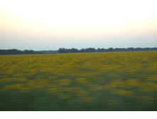 11.08.2007 3:40:07