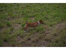 DSC00040.JPG