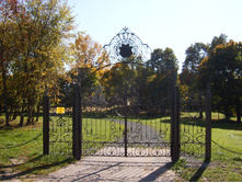 SUC51192.JPG