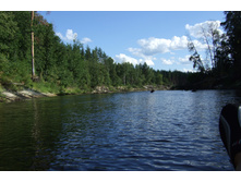 DSCF3294.jpg