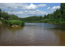 DSCF3309.jpg