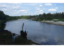 DSCF3336.jpg