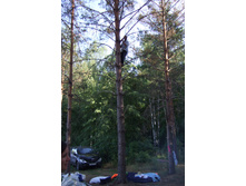 DSCF3374.jpg