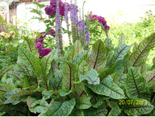 100_6354.JPG