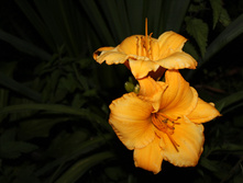 IMG_1164.JPG