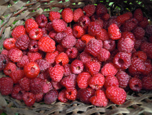 IMG 065.JPG