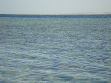 DSC02051.JPG