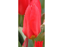 10,