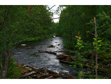 IMG_7875.JPG