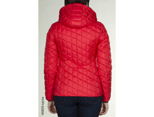 450029_back.jpg