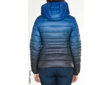 450041_back.jpg