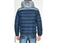 460016_back.jpg