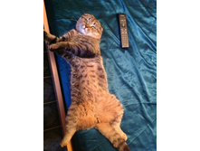 30.07.2013 10:33:41