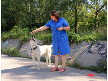 IMG_7873.jpg