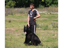 IMG_7934.jpg