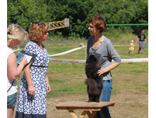 IMG_7949.jpg