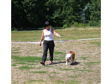 IMG_7996.jpg