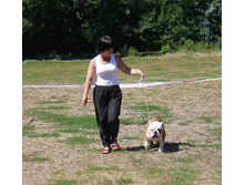 IMG_7997.jpg