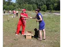 IMG_8049.jpg