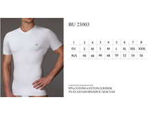 BU23003