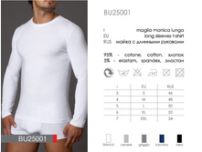 BU25001