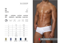 BU33009