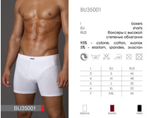 BU35001