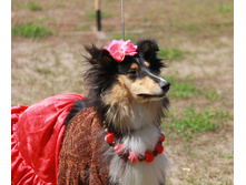 IMG_8156.jpg