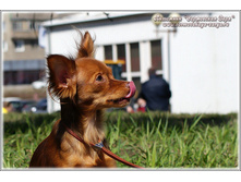 DSC00702.jpg