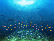 phoca_thumb_l_0082.jpg