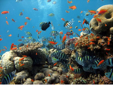 phoca_thumb_l_0511.jpg