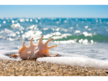 phoca_thumb_l_0513.jpg