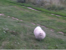 01.08.2013 23:11:34