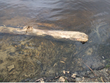 DSCF3554.JPG