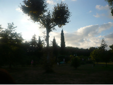 P1030640.JPG