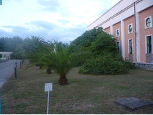 P1030733.JPG