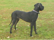 IMG0204A.jpg