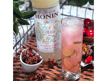 ����� \\\"����\\\",0,7 \\\"Monin\\\",����-309 ���.+���.%