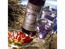 ����� \"�������\",0,7 \"Monin\",����-455 ���.+���.%