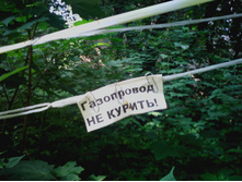 IMG0203.jpg