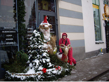 getImage (20).jpg