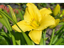 5 - 12 ��.