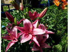 S73R5545.JPG