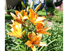 S73R5546.JPG
