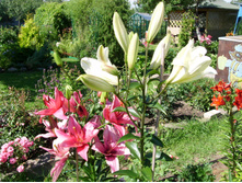 S73R5588.JPG