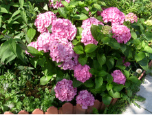 S73R5626.JPG