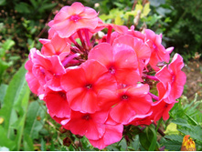 S73R5726.JPG
