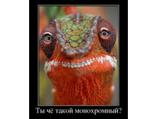 09.08.2013 14:02:32